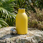 Double-walled Stainless Steel bottle