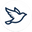 Albatros logo