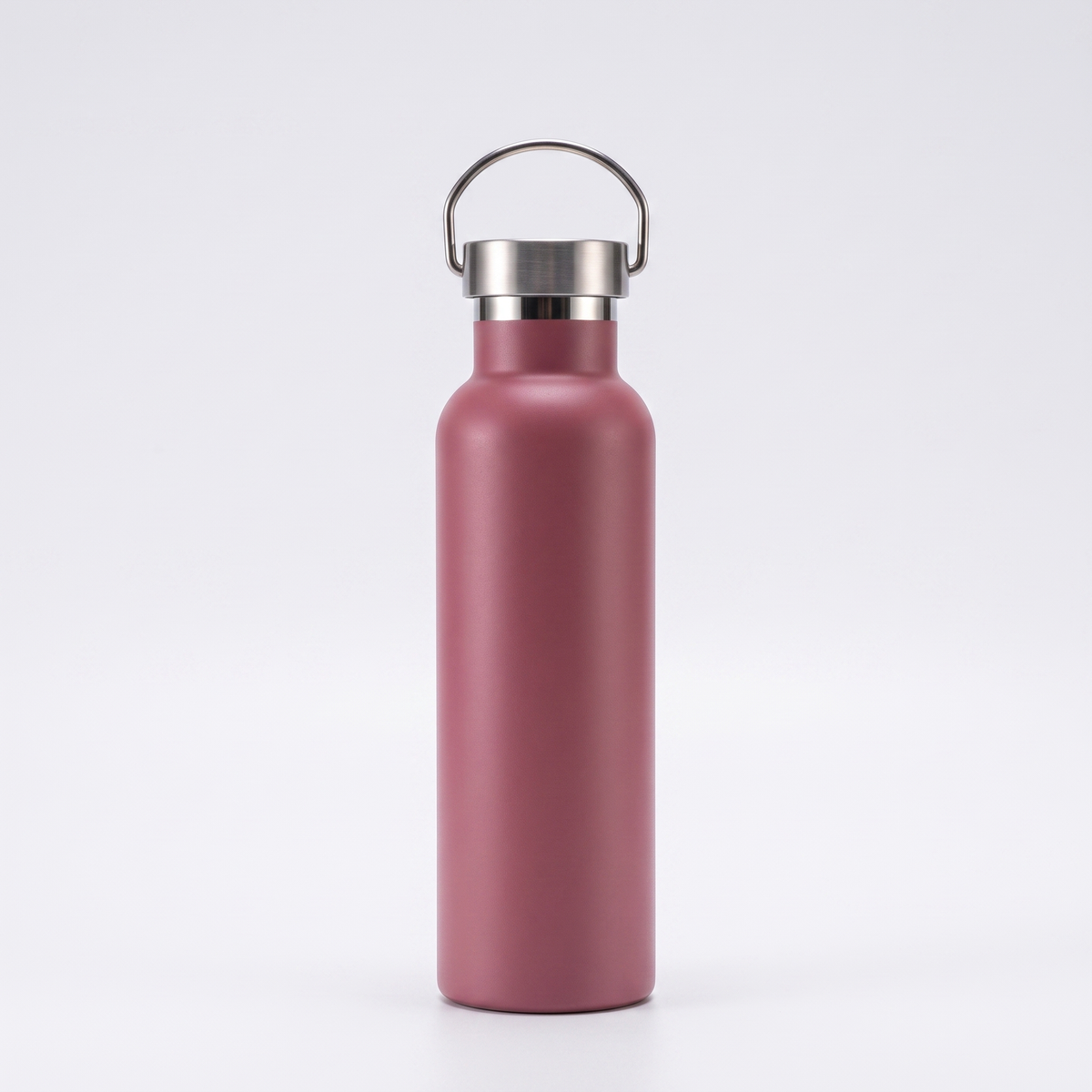 Insulated stainless steel Water Bottle