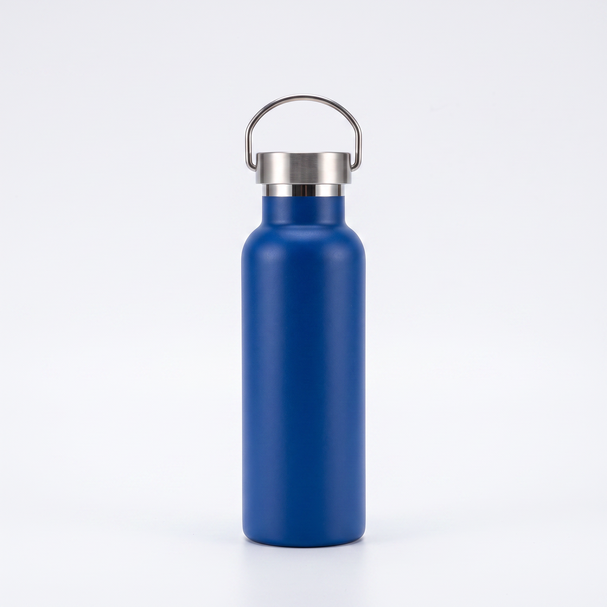 Insulated stainless steel Water Bottle