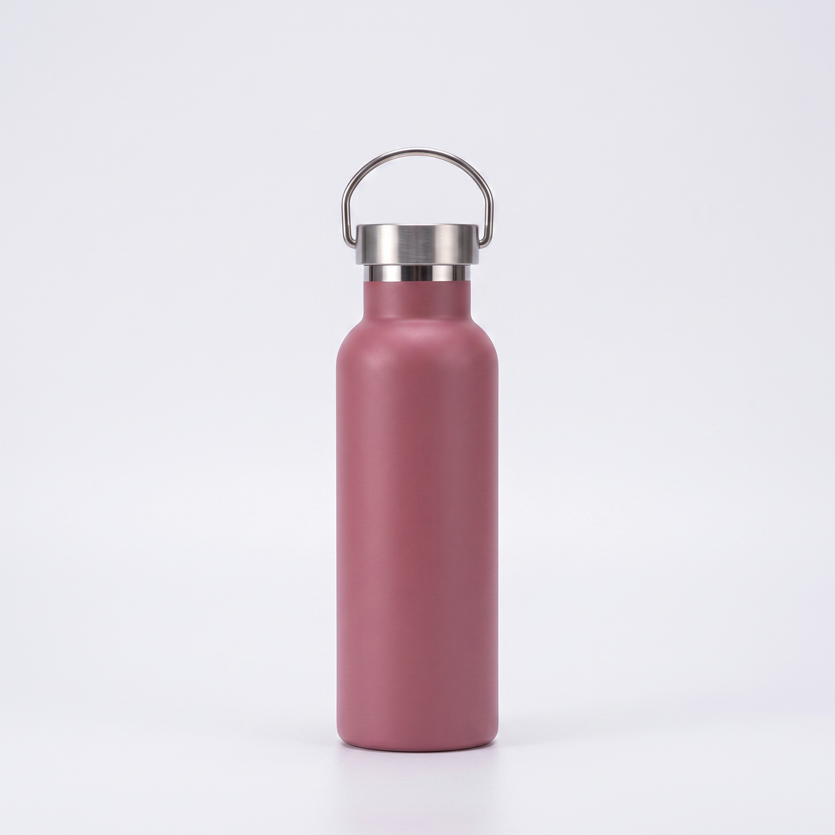Insulated stainless steel Water Bottle