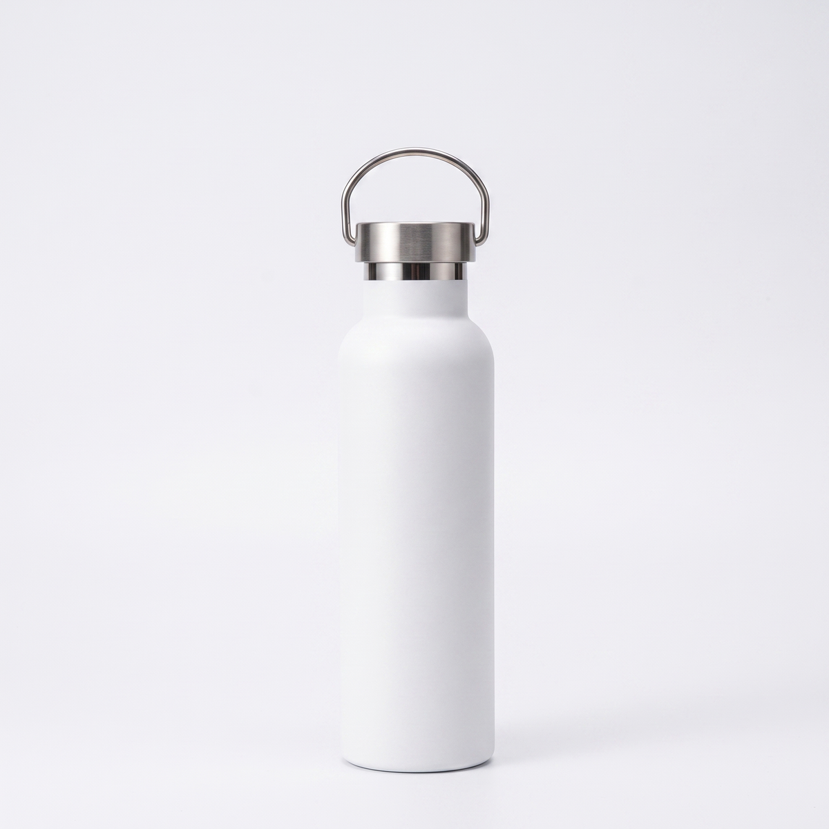 Insulated stainless steel Water Bottle