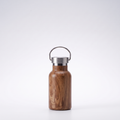 Insulated stainless steel Water Bottle