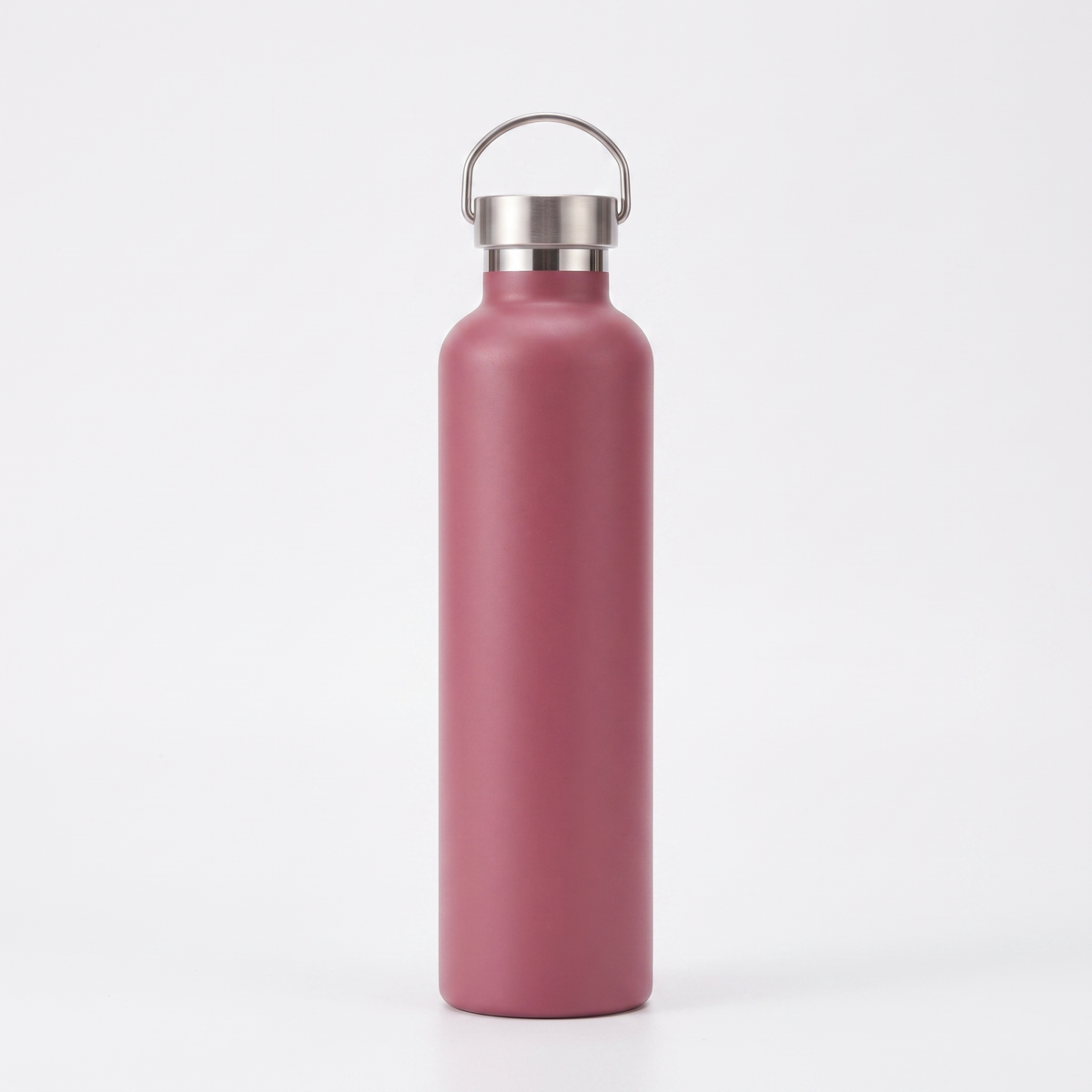 Insulated stainless steel Water Bottle